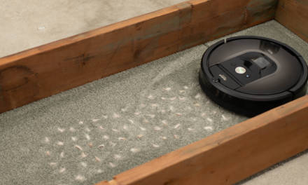 iRobot Roomba 981 Review, Problems and The Best Price