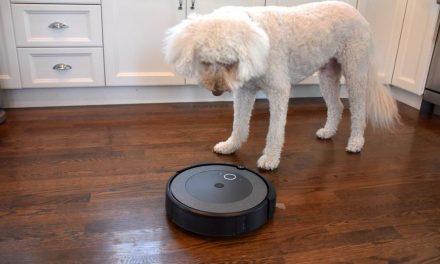 Roomba 676 vs  Shark ion robot: Which one should we buy?