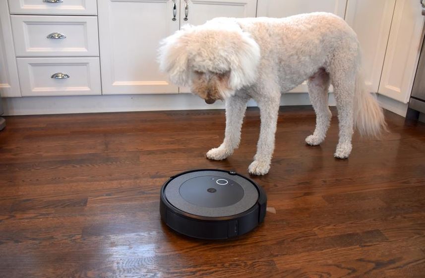 Roomba 676 vs  Shark ion robot: Which one should we buy?